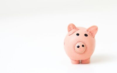 How Much Does a Car Wash Cost? Find the Best Options for Your Budget