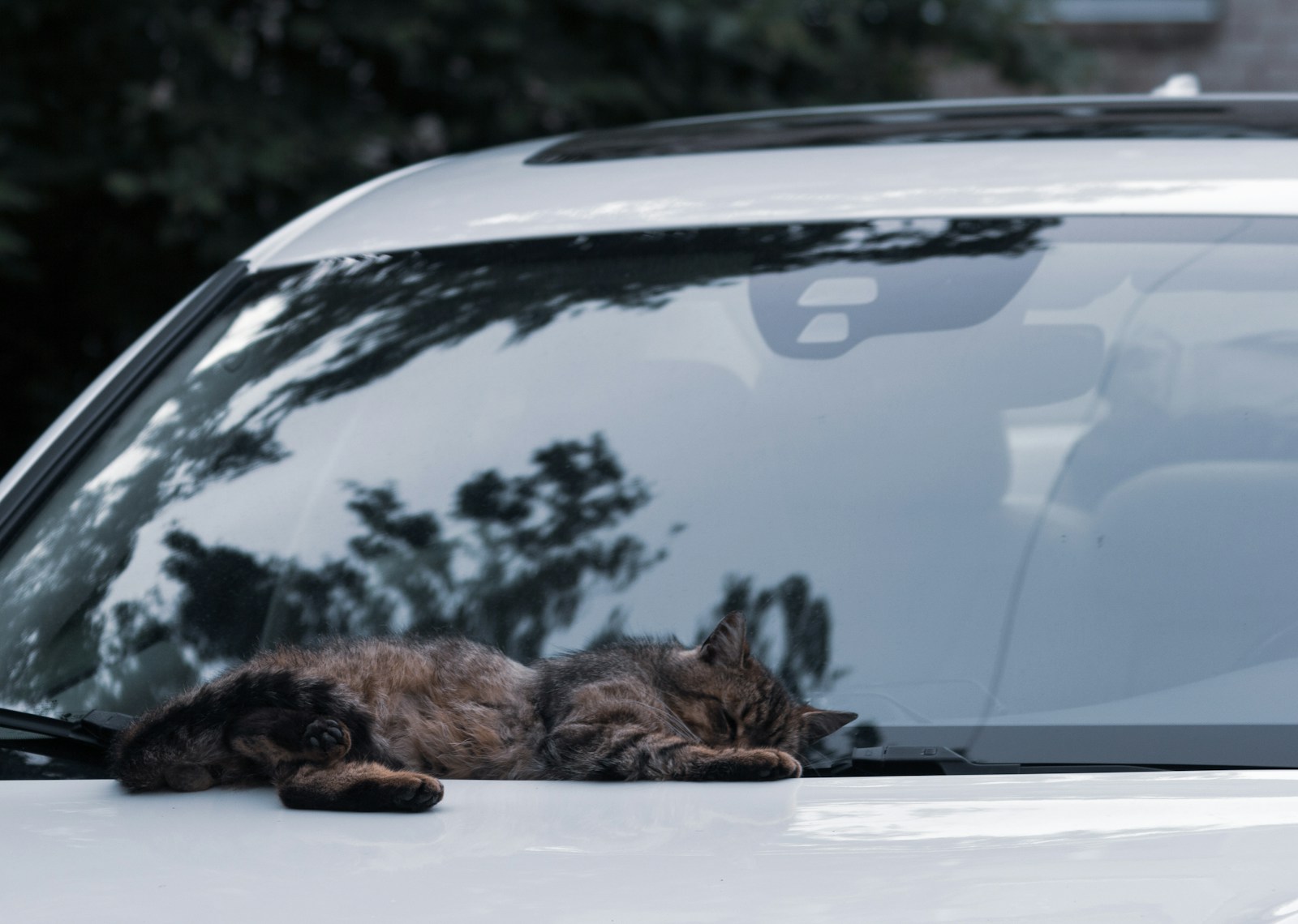 how to clean car windows