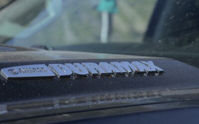 Bug Splatter and Bird Droppings: The Importance of a Bug and Tar Remover