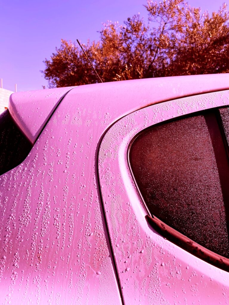 A pink car's window is visible.