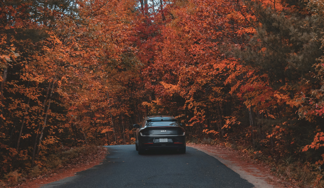 Car Detailing in Germantown, MD: Why Autumn Is the Perfect Time for a Deep Clean