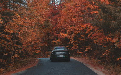 Car Detailing in Germantown, MD: Why Autumn Is the Perfect Time for a Deep Clean