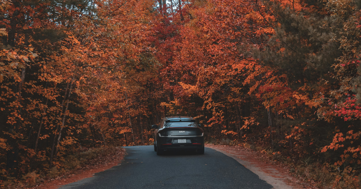 car detailing in germantown car detailing in germantown