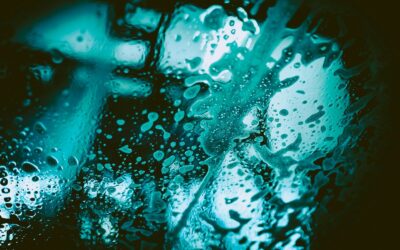 Love My Car CarWash vs Flagship Car Wash | Showdown for the Shiniest Ride