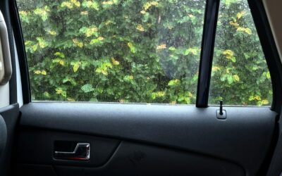 Ultimate Guide: How to Clean Bird Poop Off Car Surfaces Safely and Effectively