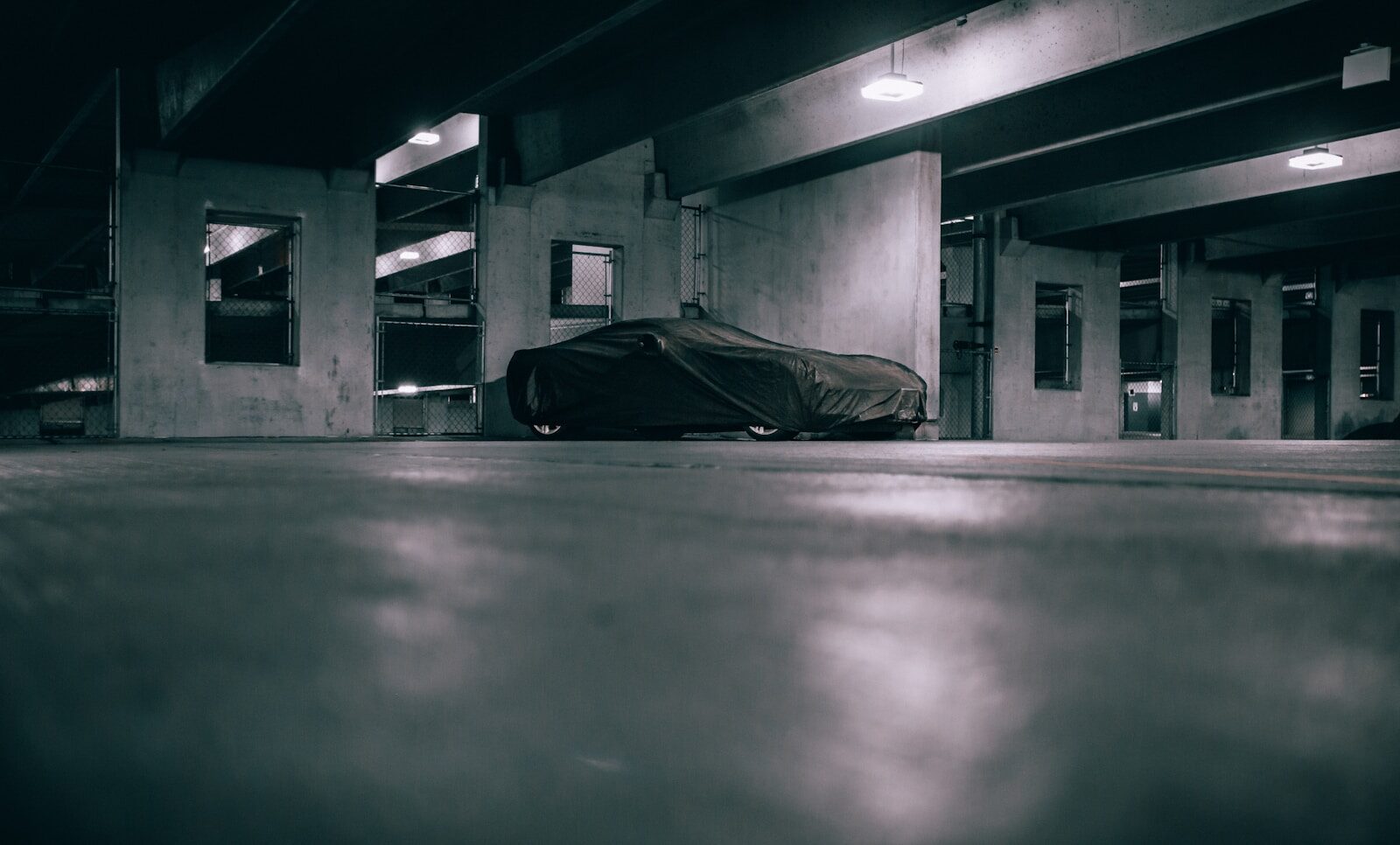 Photo by Billy Freeman car cover
