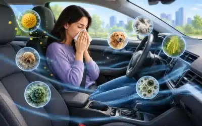 Car Interior Allergens: What’s Riding With You?